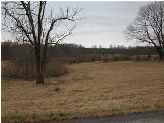 3 Reed Lane Simpsonville, KY 40067 - Photo 1 of 1 Primary Photo
