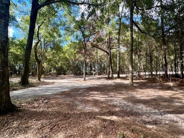 Southwest 20th Street Bell, FL 32619 - Photo 11 of 15 a view of road with trees