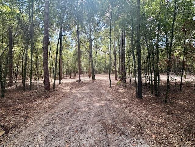 Southwest 20th Street Bell, FL 32619 - Photo 12 of 15 a view of outdoor space with trees