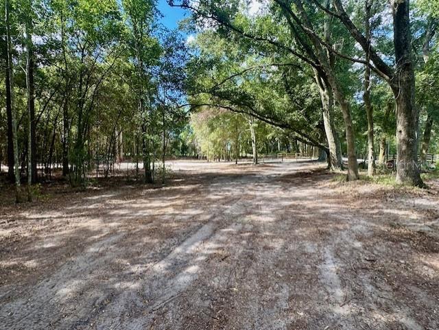Southwest 20th Street Bell, FL 32619 - Photo 13 of 15 a view of outdoor space with trees