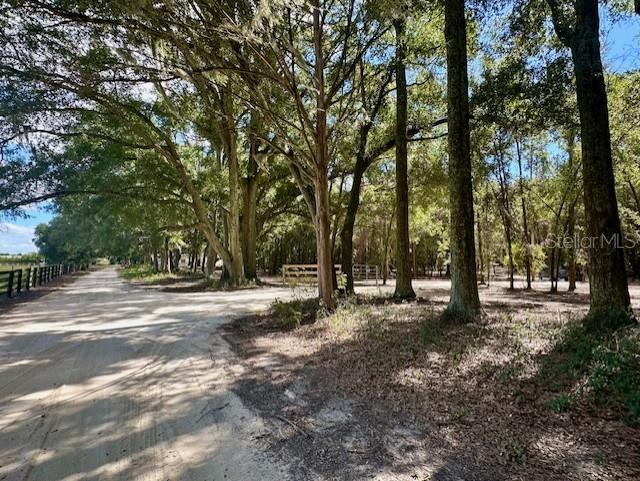Southwest 20th Street Bell, FL 32619 - Photo 2 of 15 a view of road with trees