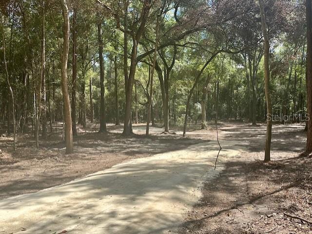 Southwest 20th Street Bell, FL 32619 - Photo 4 of 15 a view of a yard with trees