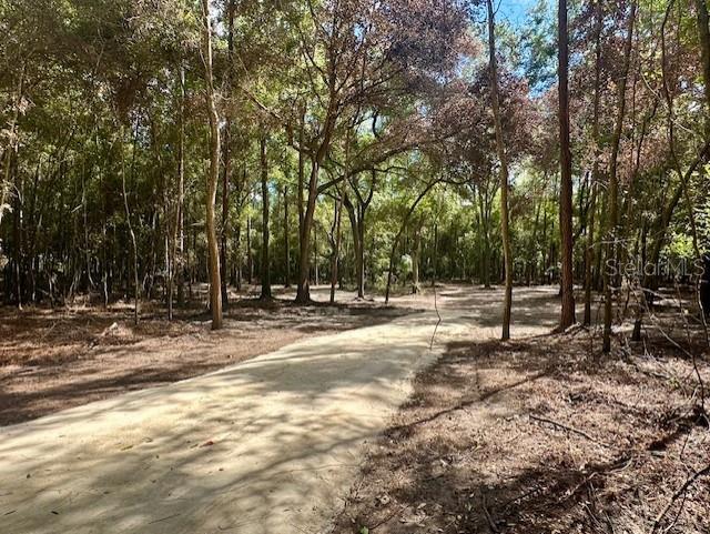 Southwest 20th Street Bell, FL 32619 - Photo 5 of 15 a view of outdoor space with trees