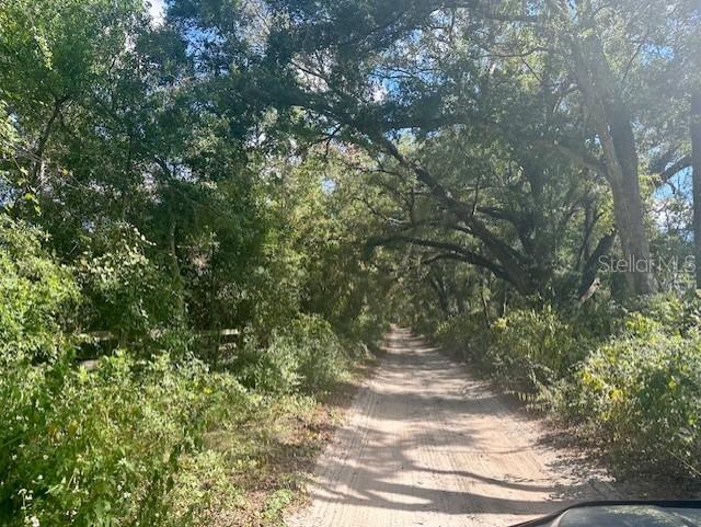 Southwest 20th Street Bell, FL 32619 - Photo 6 of 15 a view of outdoor space and trees
