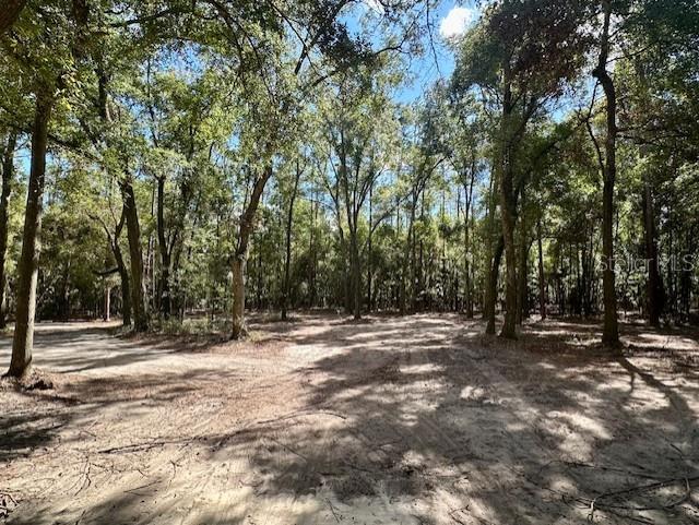 Southwest 20th Street Bell, FL 32619 - Photo 9 of 15 a view of outdoor space with trees