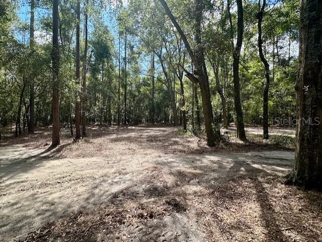 Southwest 20th Street Bell, FL 32619 - Photo 10 of 15 a view of outdoor space with trees