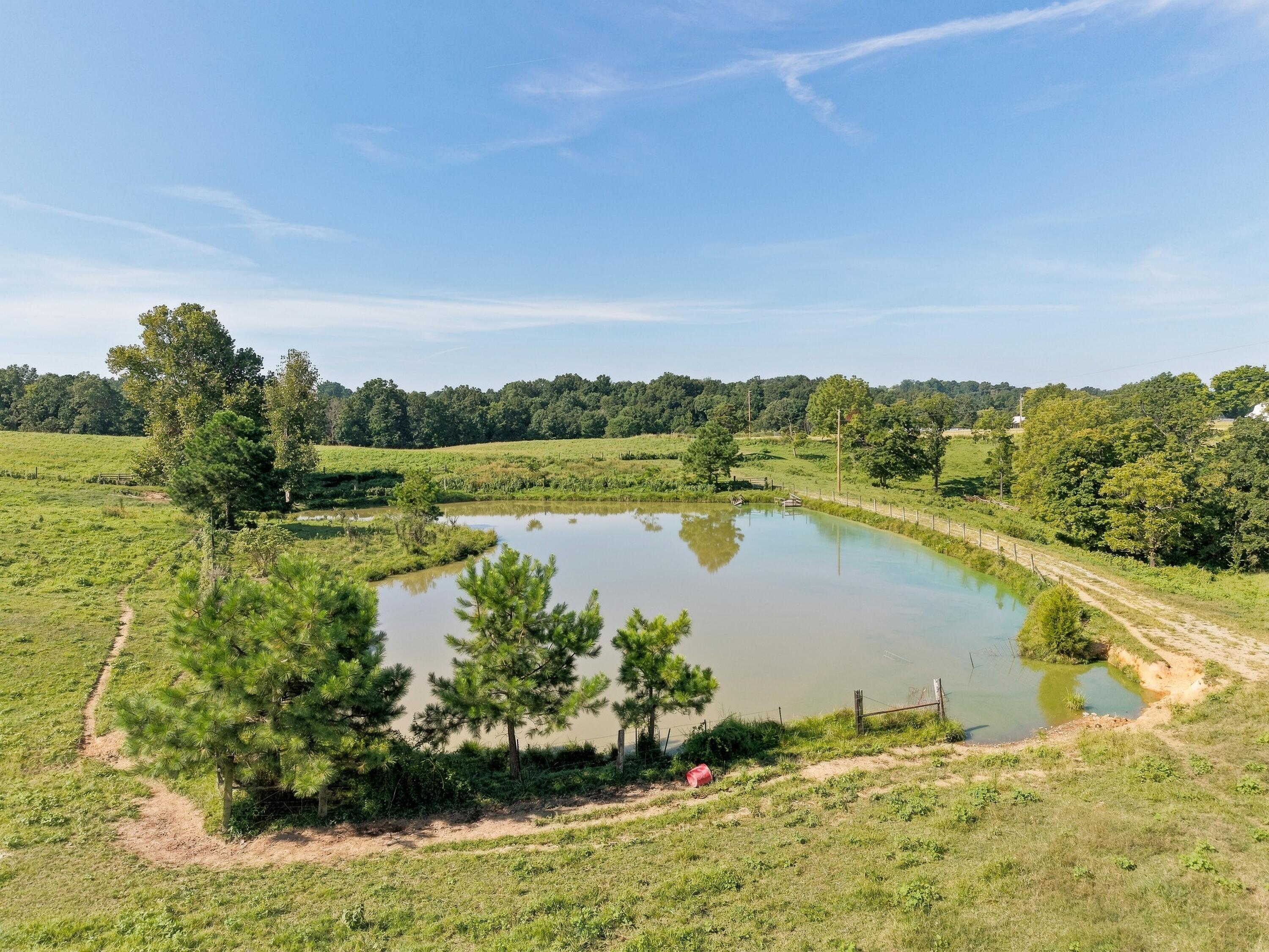 1340 Roe Wafford Road Marion, KY 42064 - Photo 68 of 81 1340RoeWafford_077