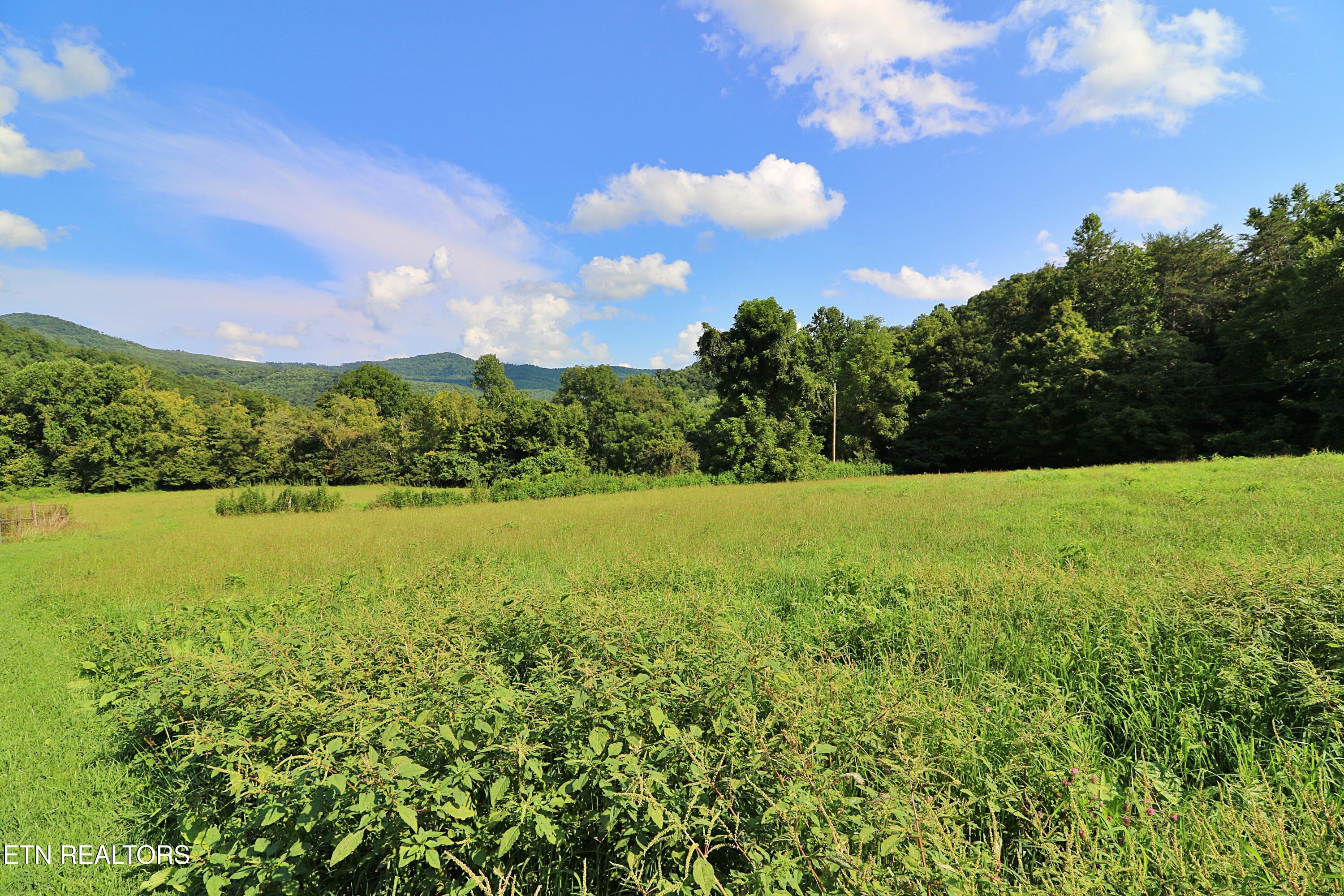 7914 Brimstone Road Robbins, TN 37852 - Photo 41 of 53 094A4364