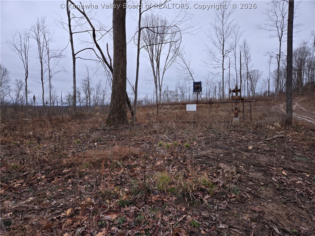 0 Beechy Road Procious, WV 25164 - Photo 28 of 29 Gallery Image 28