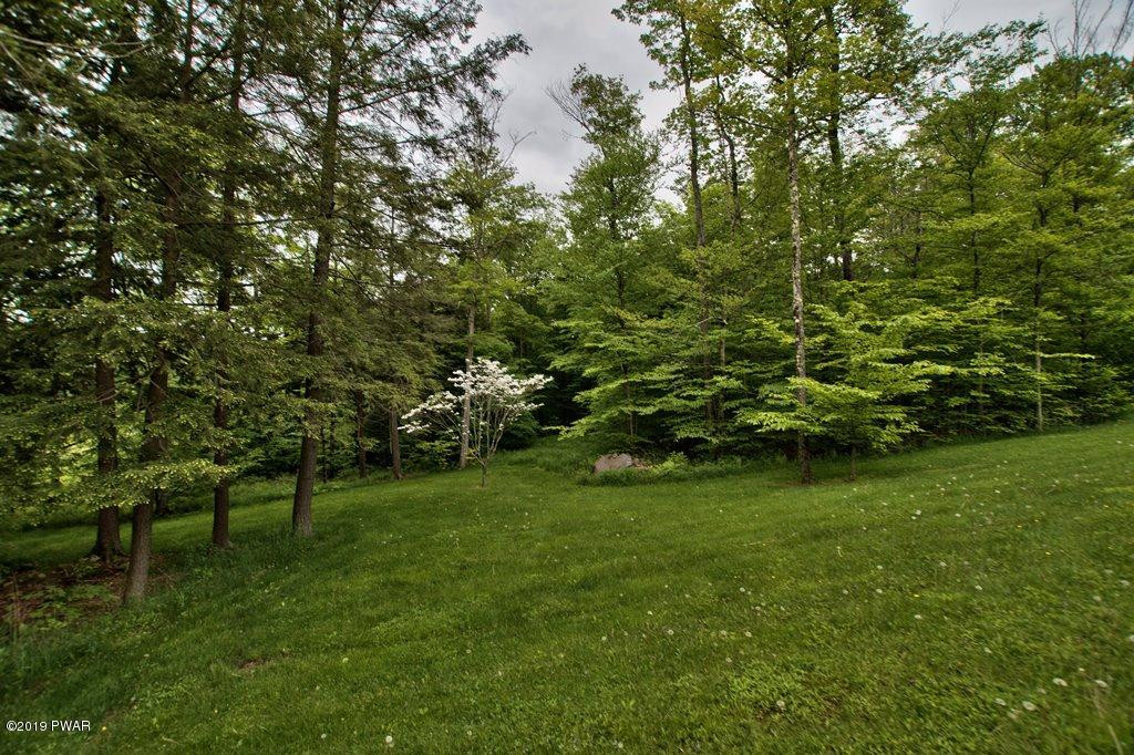 17 Ridgewood Lane Equinunk, PA 18417 - Photo 63 of 77