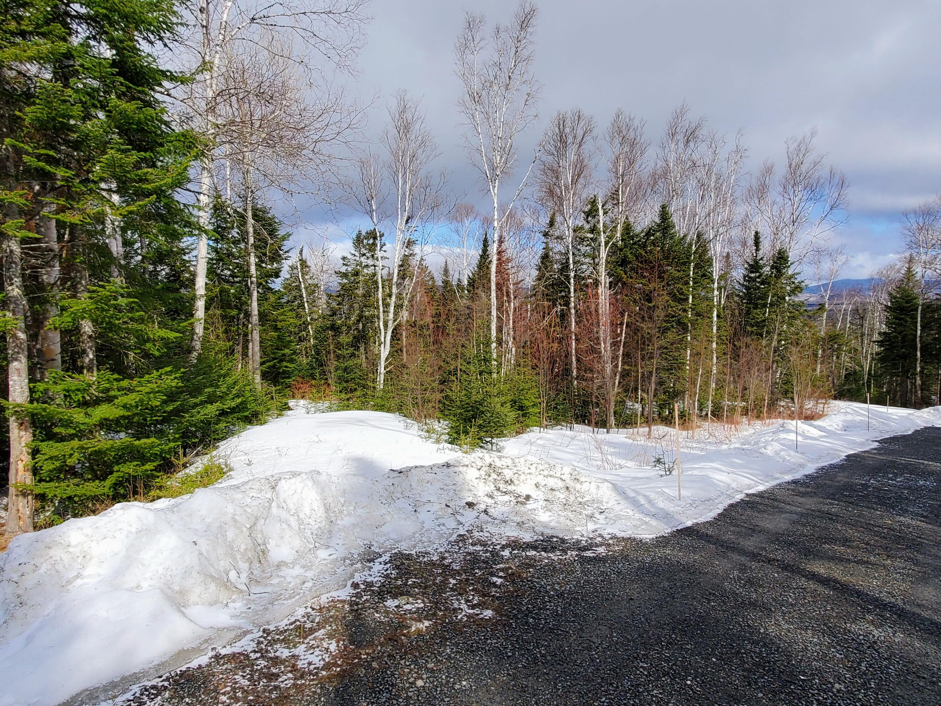 2 Map Road Dallas Plt, ME 04970 - Photo 5 of 10 Driveway Entrance