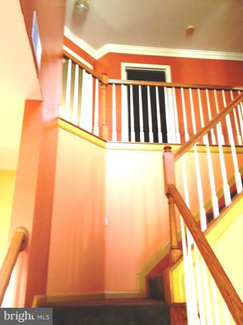 2445 Rabbits Run Street Waldorf, MD 20601 - Photo 2 of 20 Foyer