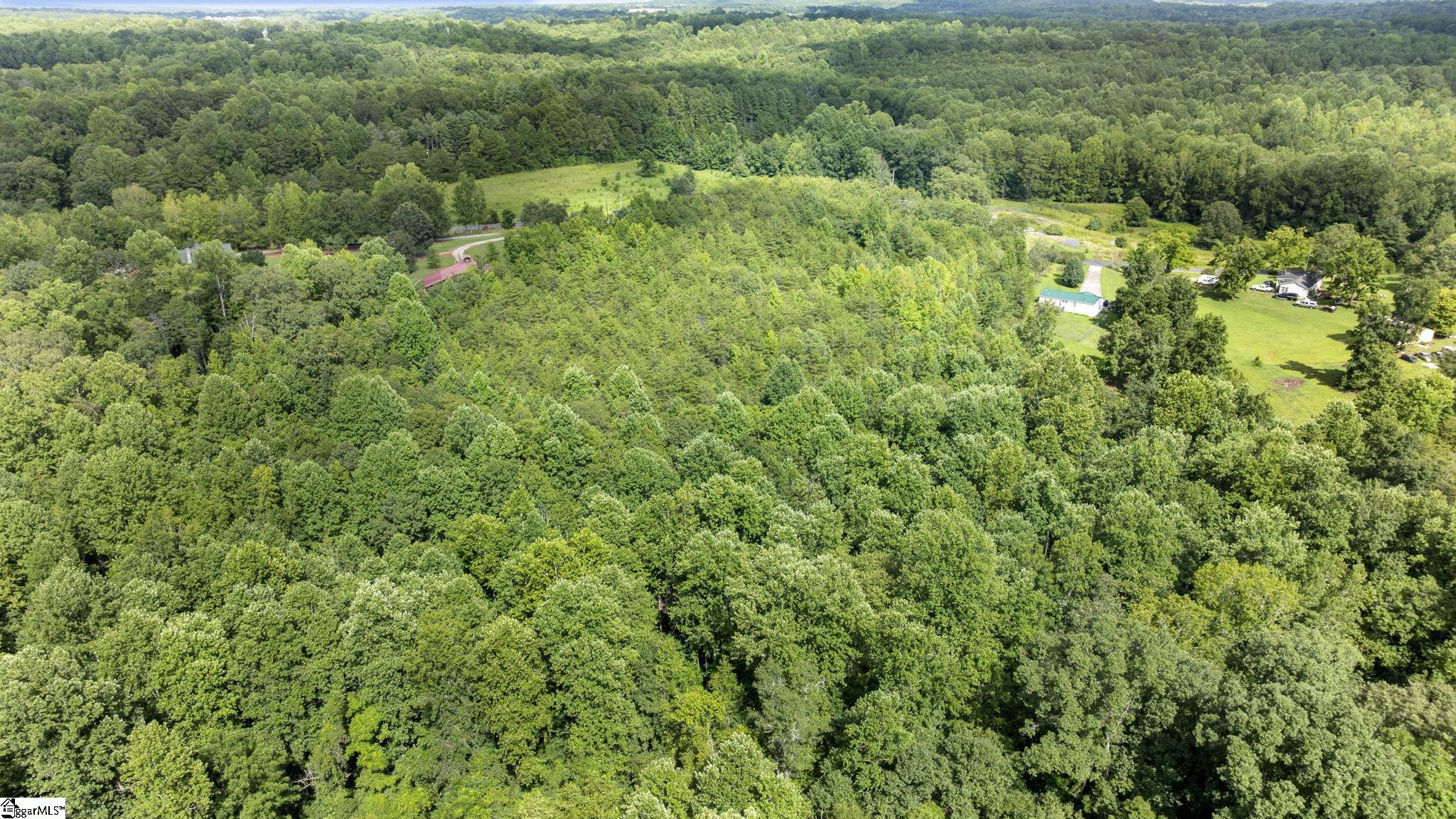 716 Settlement Road, Unit LOT 2 Travelers Rest, SC 29690 - Photo 15 of 16 Gallery Image 15