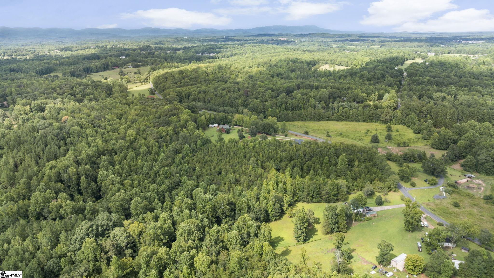 716 Settlement Road, Unit LOT 2 Travelers Rest, SC 29690 - Photo 10 of 16 Gallery Image 10