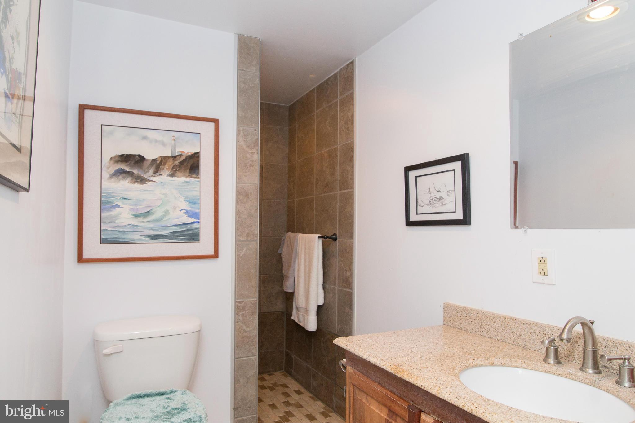 4501 Louisville Road Finksburg, MD 21048 - Photo 23 of 30 Bath