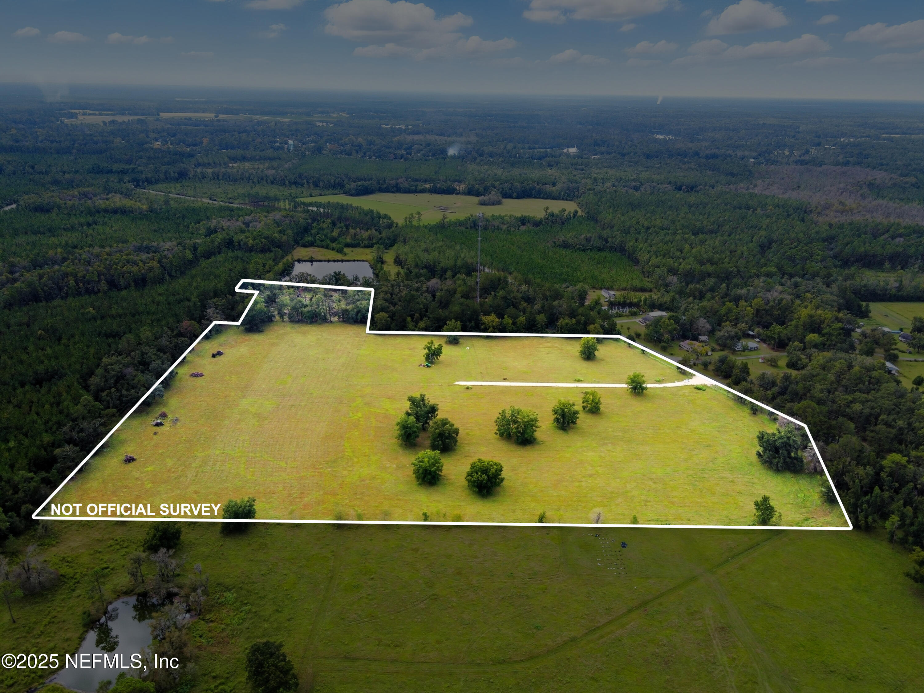 11242 Hogan Road Live Oak, FL 32060 - Photo 19 of 39 DJI_0449_Black & White