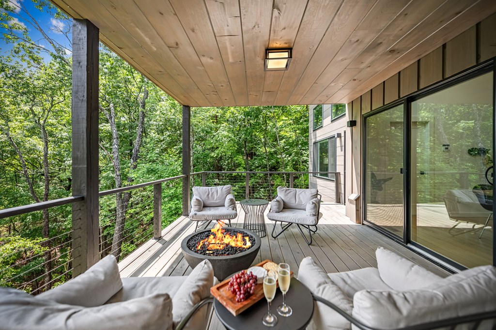 880 Little Bushy Head Road Blue Ridge, GA 30513 - Photo 33 of 51 Gallery Image 33