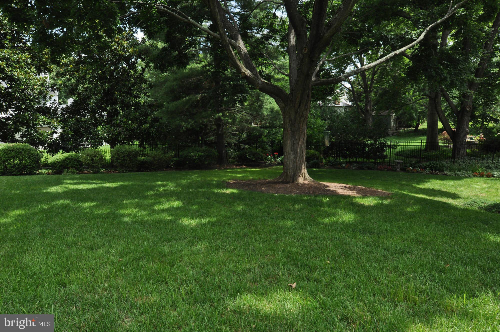 8046 Glendale Road Chevy Chase, MD 20815 - Photo 30 of 30 Amazing back yard!