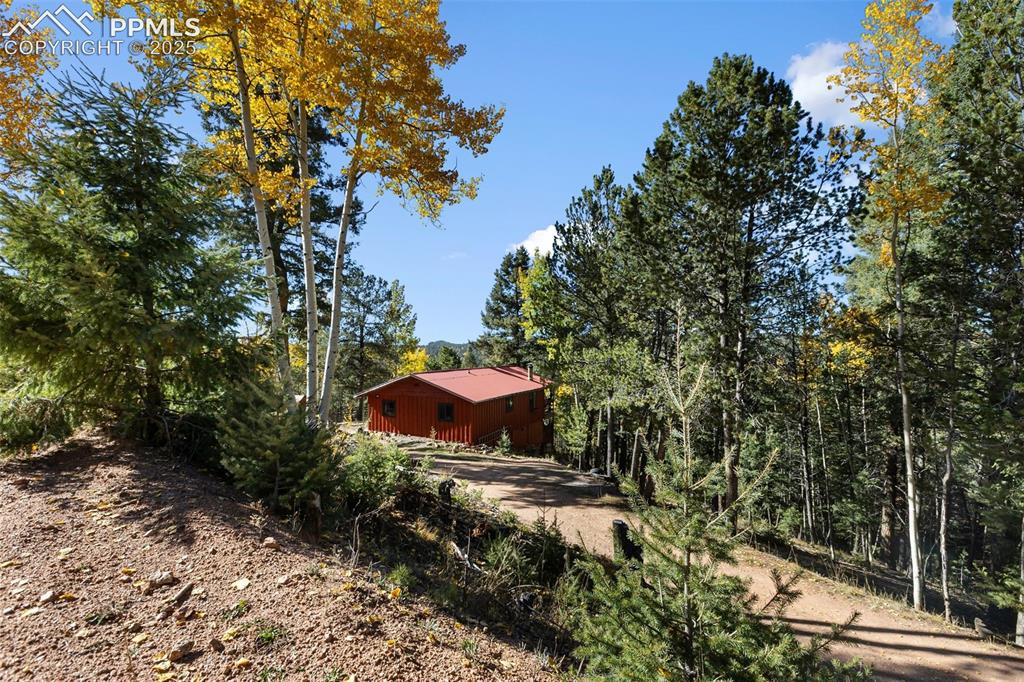 679 Calcite Drive Divide, CO 80814 - Photo 30 of 35
