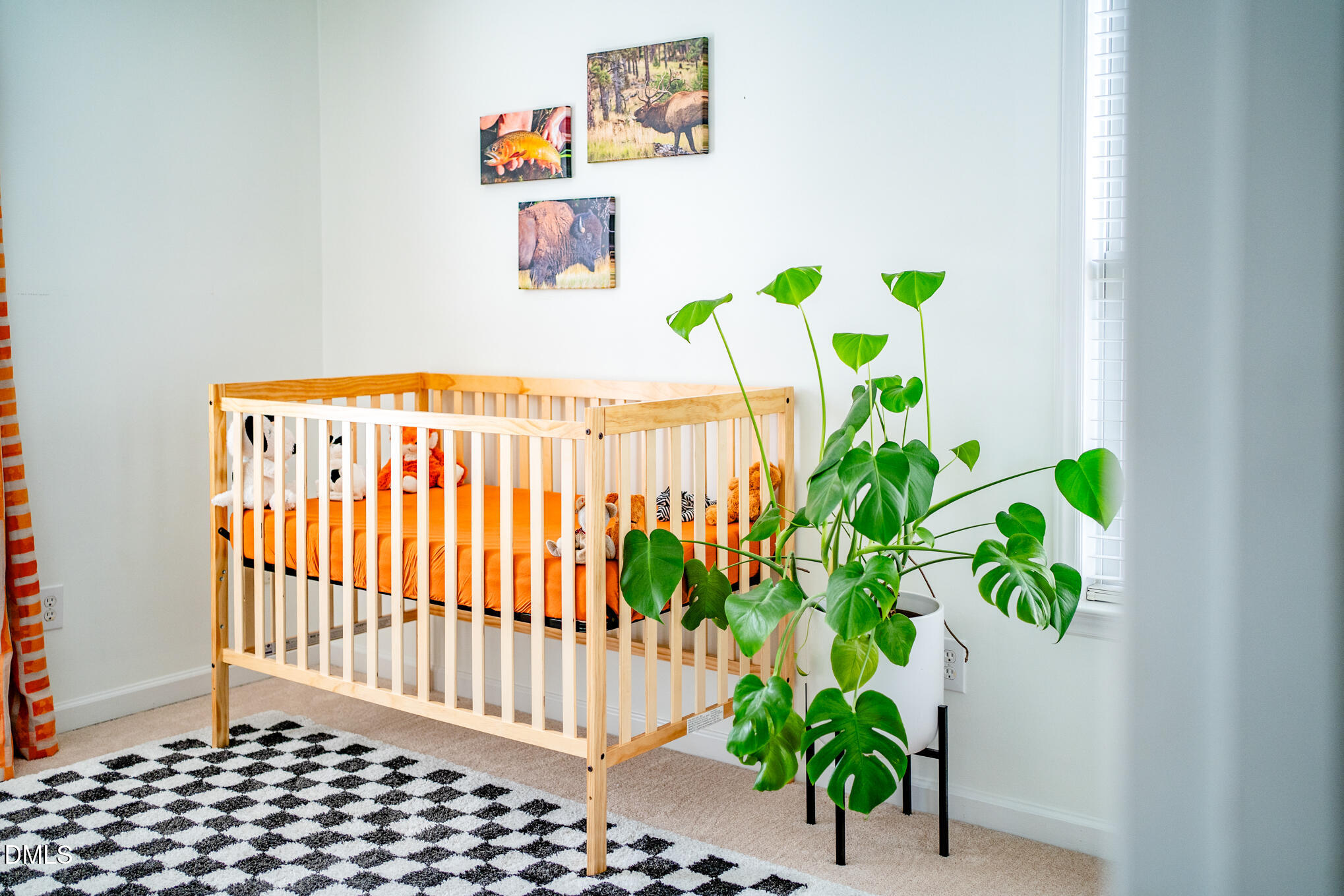 10916 Farmville Road Raleigh, NC 27614 - Photo 23 of 56 Farmville (56 of 63)