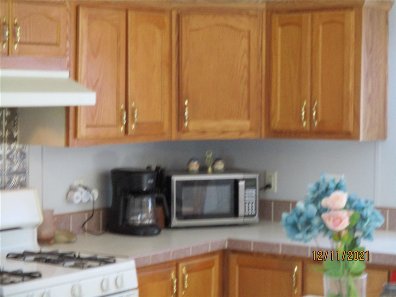6680 Lemon Road Bancroft, MI 48414 - Photo 23 of 38