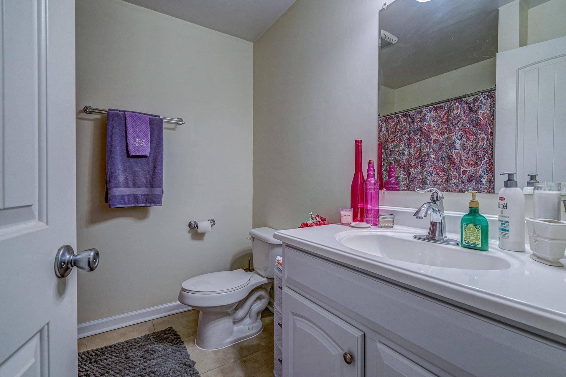 6597 Back Creek Road Boones Mill, VA 24065 - Photo 23 of 27 Main full bath
