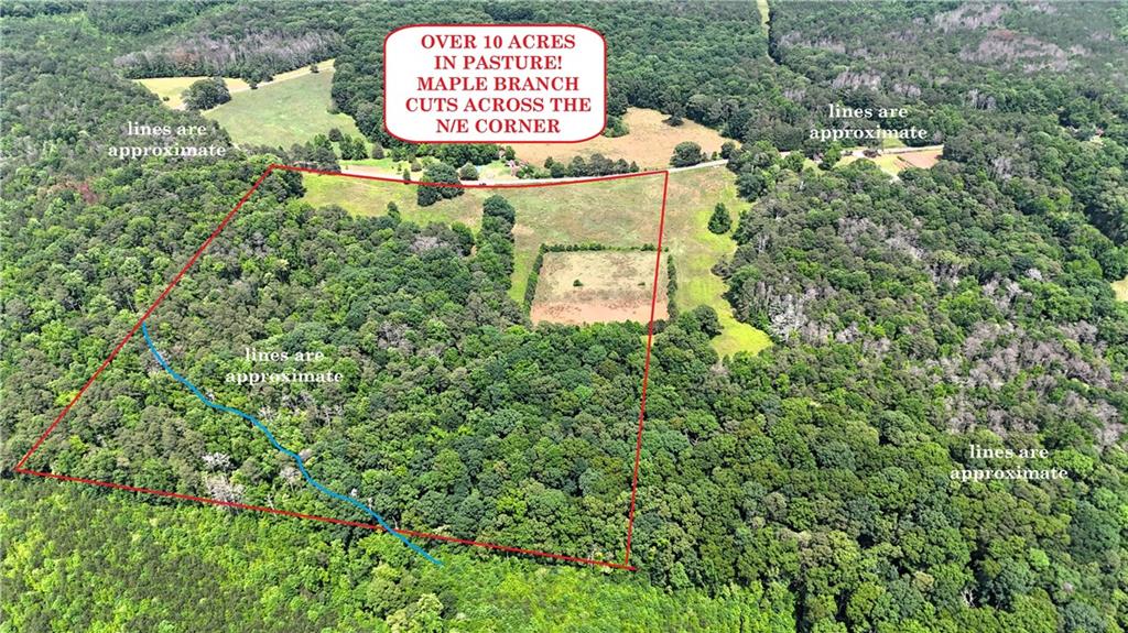 1 Melear Road Bowdon, GA 30108 - Photo 4 of 51