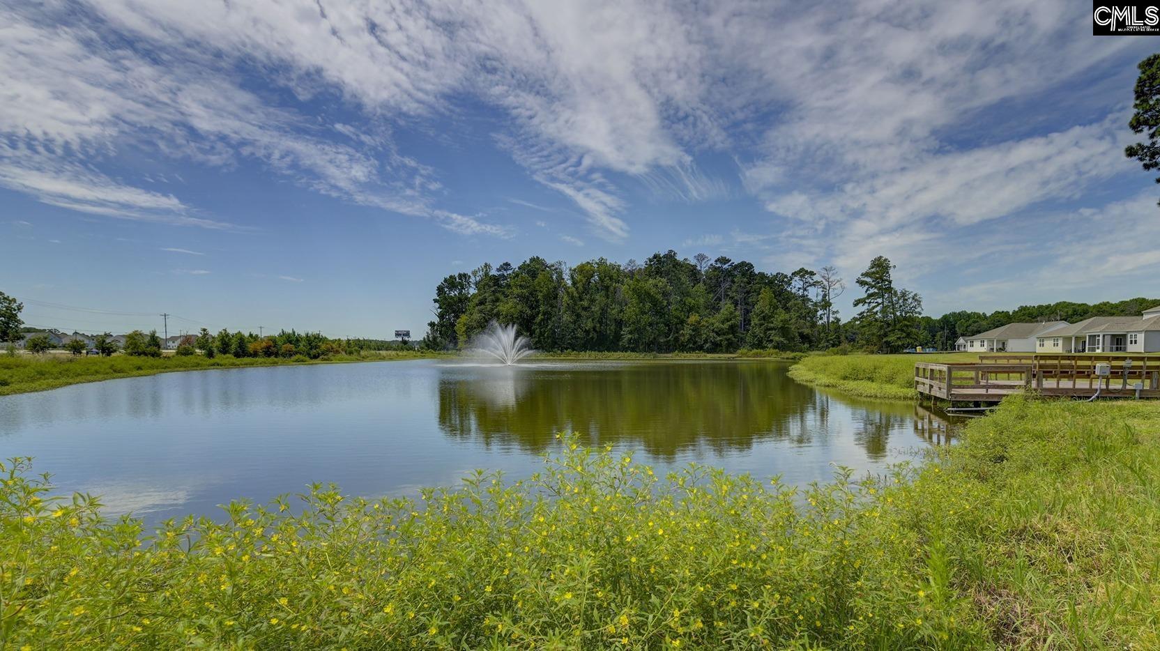 202 Ruby Prince Road Gilbert, SC 29054 - Photo 34 of 39