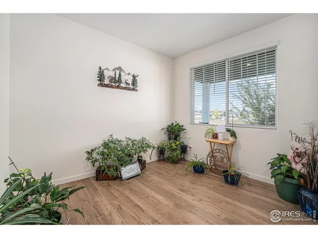 a view of a room with wooden floor and a potted plant