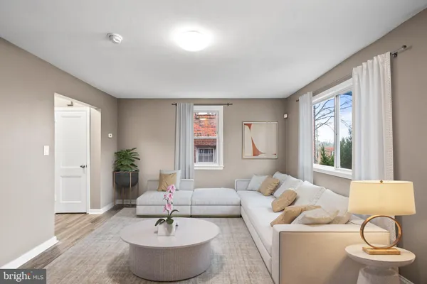 a living room with furniture and a potted plant