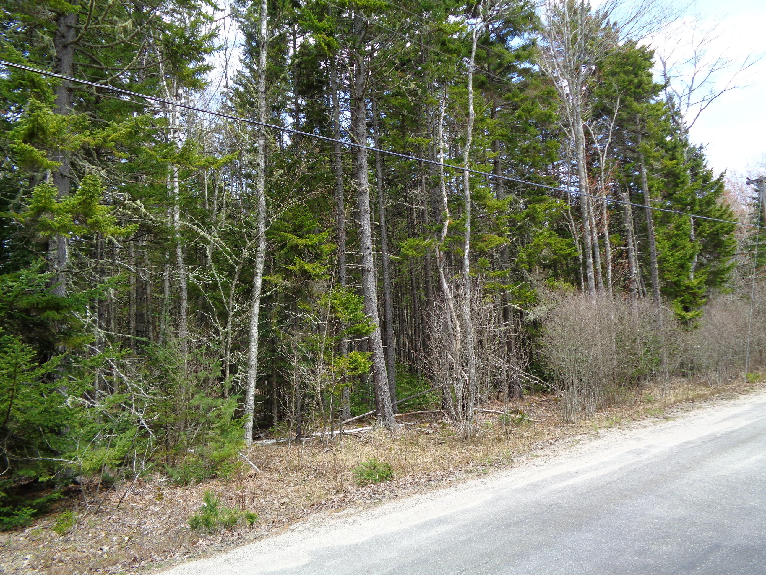 177 F Rays Point Road Milbridge, ME 04658 - Photo 12 of 14 DSC02943