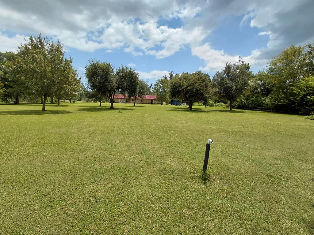 1231 County Road 201A Angleton, TX 77515 - Photo 4 of 26 a view of a field with an trees in the background
