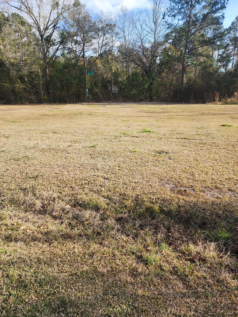 412 East Red Bay Road Sumter, SC 29153 - Photo 3 of 4 Gallery Image 3