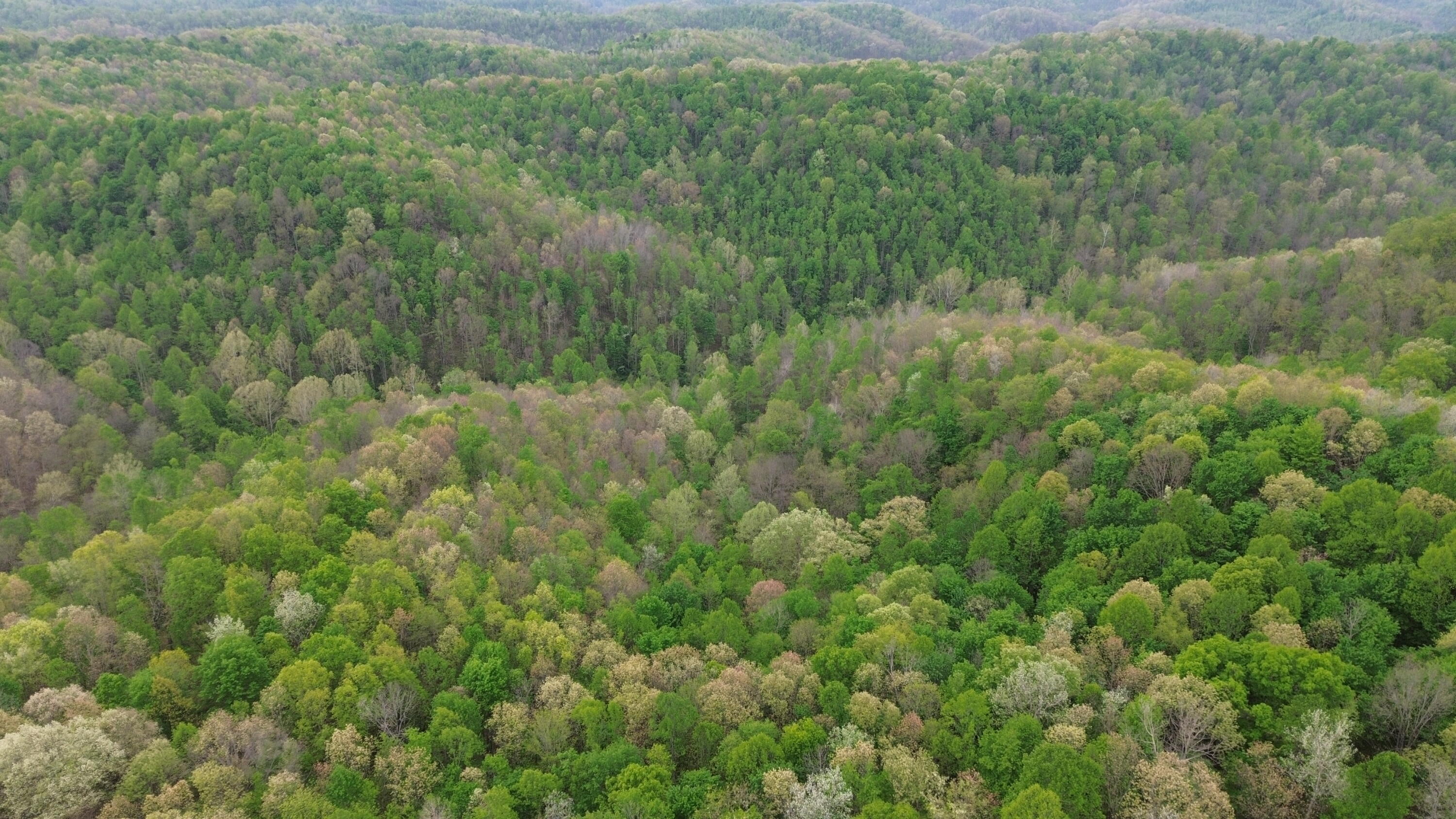 1271 A Tunnel Ridge Road Grayson, KY 41143 - Photo 102 of 134 Property View