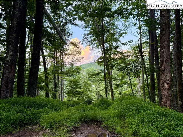 $499,000 | 121 Hollow Tree Road, Beech Mountain, NC 28604