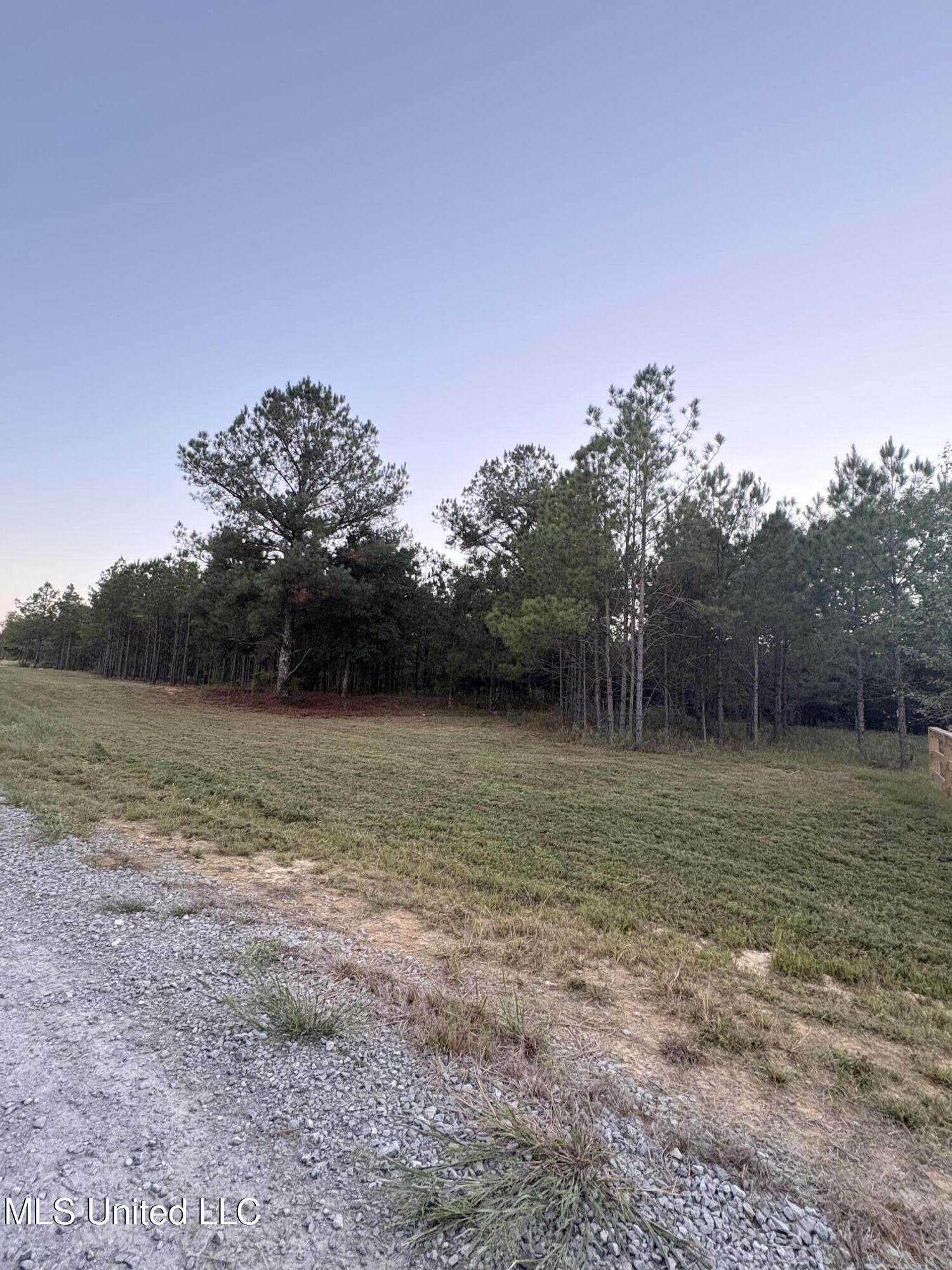 Stout Road Canton, MS 39046 - Photo 3 of 6 lot 49 -1