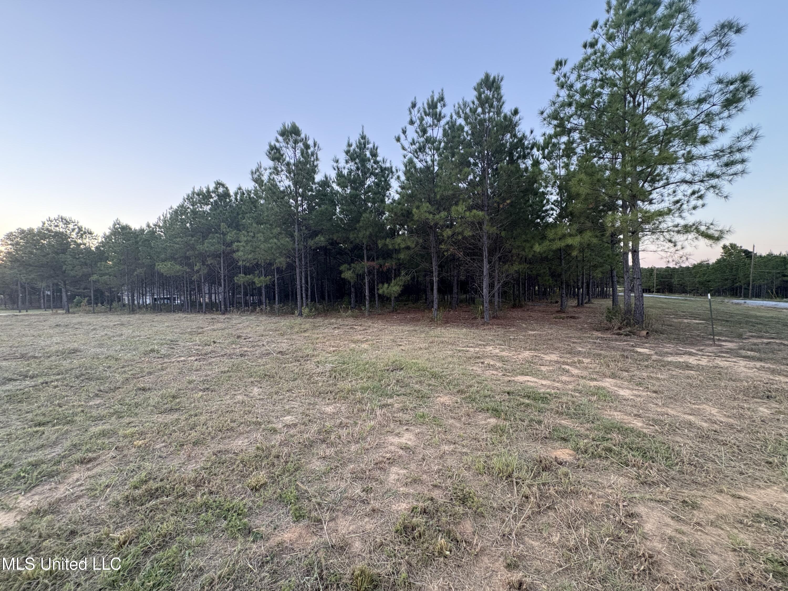Stout Road Canton, MS 39046 - Photo 5 of 6 lot 49 -5