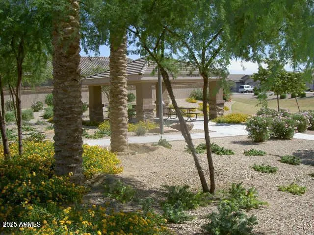 a view of a yard with plants and large trees