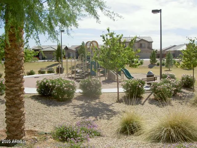 a view of a garden with a tree