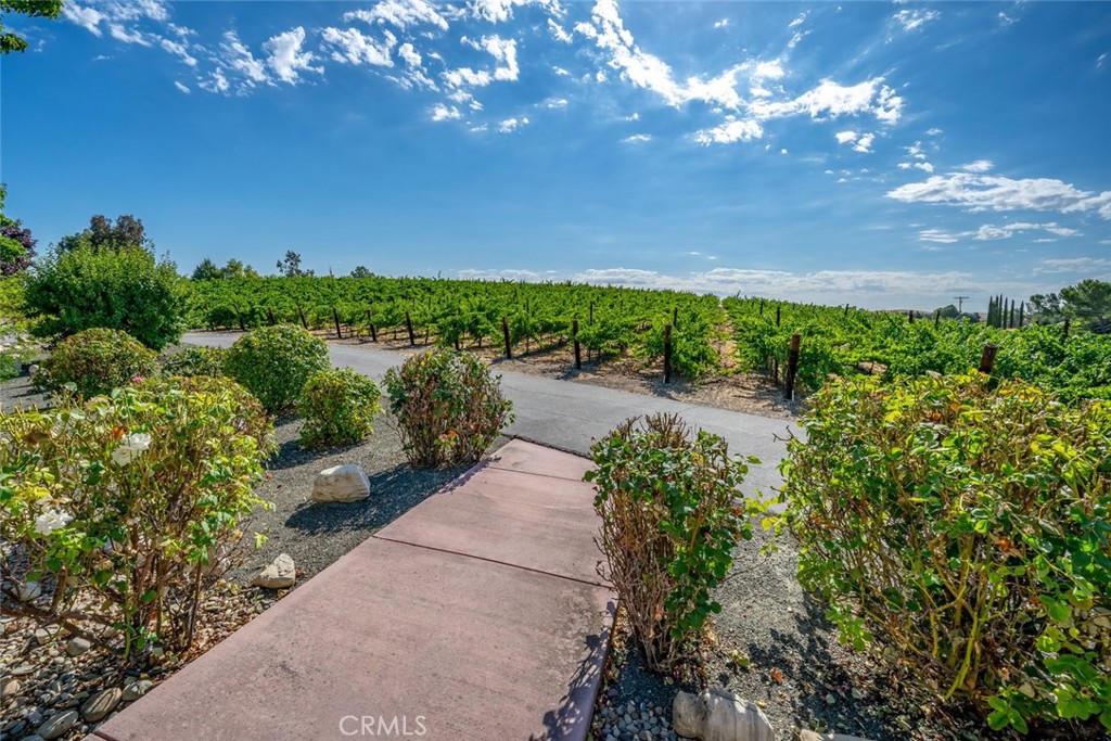 6172 Hawk Ridge Place San Miguel, CA 93451 - Photo 58 of 74