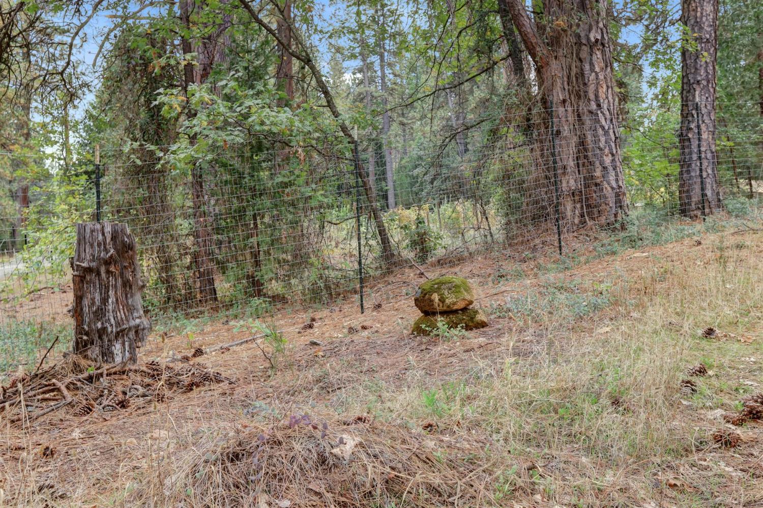 12566 Allison Ranch Road Grass Valley, CA 95949 - Photo 21 of 98