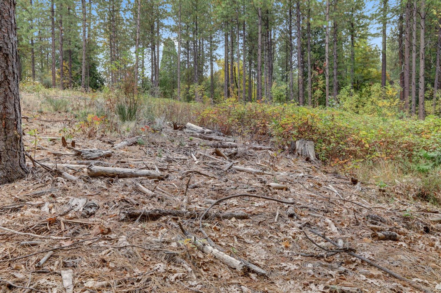 12566 Allison Ranch Road Grass Valley, CA 95949 - Photo 23 of 98