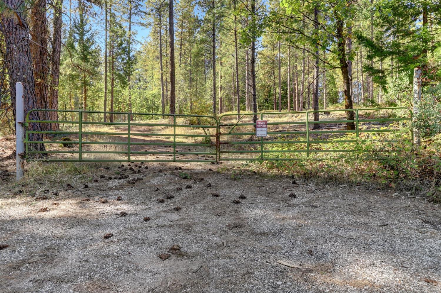 12566 Allison Ranch Road Grass Valley, CA 95949 - Photo 24 of 98 a view of a yard with lots of trees