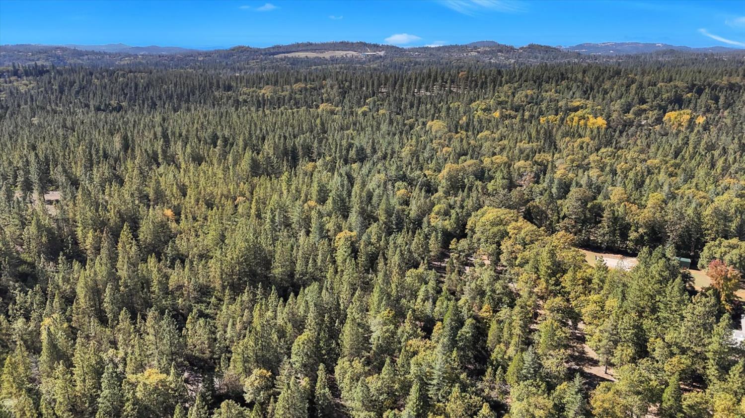 12566 Allison Ranch Road Grass Valley, CA 95949 - Photo 26 of 98 a view of a forest with a mountain in the background