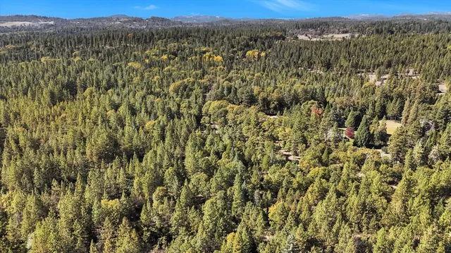 a view of a house in a forest