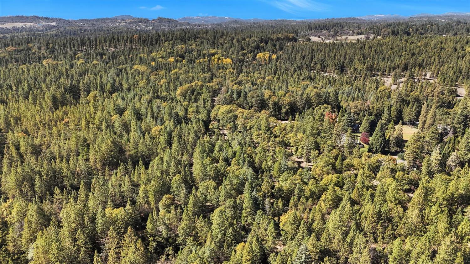 12566 Allison Ranch Road Grass Valley, CA 95949 - Photo 28 of 98