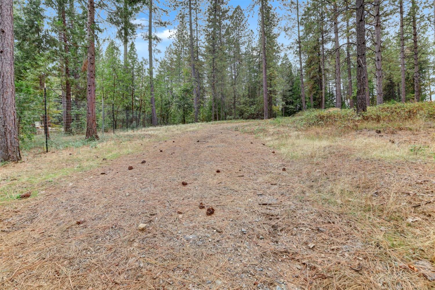 12566 Allison Ranch Road Grass Valley, CA 95949 - Photo 29 of 98