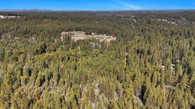 a fire hydrant in the middle of a field