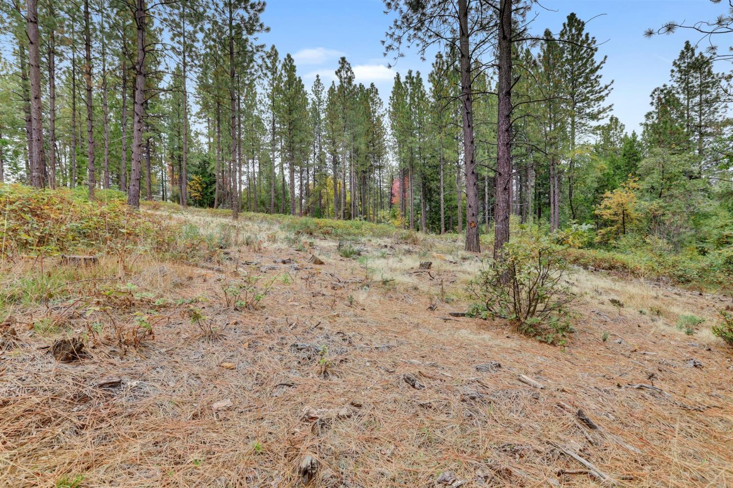 12566 Allison Ranch Road Grass Valley, CA 95949 - Photo 33 of 98