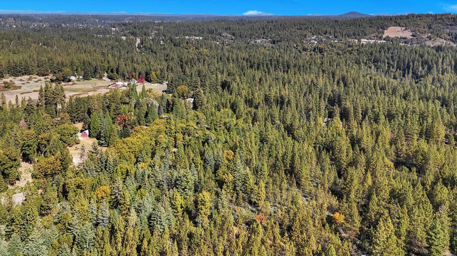 12566 Allison Ranch Road Grass Valley, CA 95949 - Photo 34 of 98